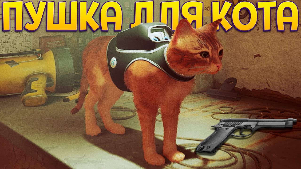 ПУШКА ДЛЯ КОТА ( Stray )