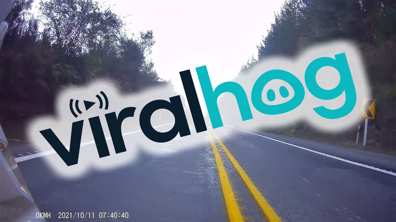 Close Call as Trailer Breaks Free From Truck || ViralHog