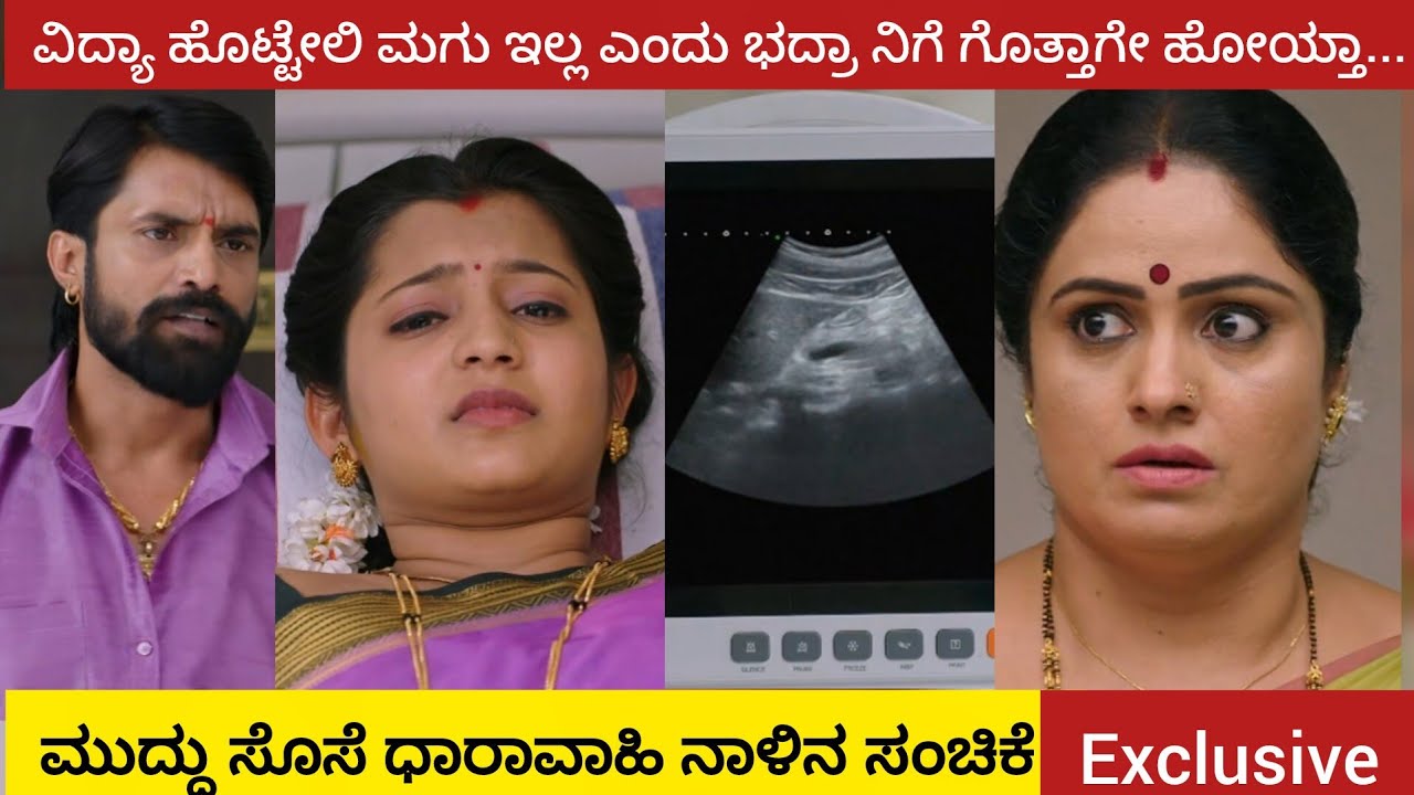 ವಿದ್ಯಾ ಹೊಟ್ಟೇಲಿ ಮಗು ಇಲ್ಲ ಎಂದು ಭದ್ರಾ ನಿಗೆ ಗೊತ್ತಾಗೇ ಹೋಯ್ತಾ...| ಮುದ್ದು ಸೊಸೆ ಧಾರಾವಾಹಿ ನಾಳಿನ ಸಂಚಿಕೆ|