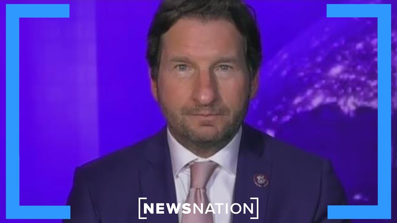 Lack of transparency makes DOGE cuts ‘more complicated’: Dean Phillips | Vargas Report