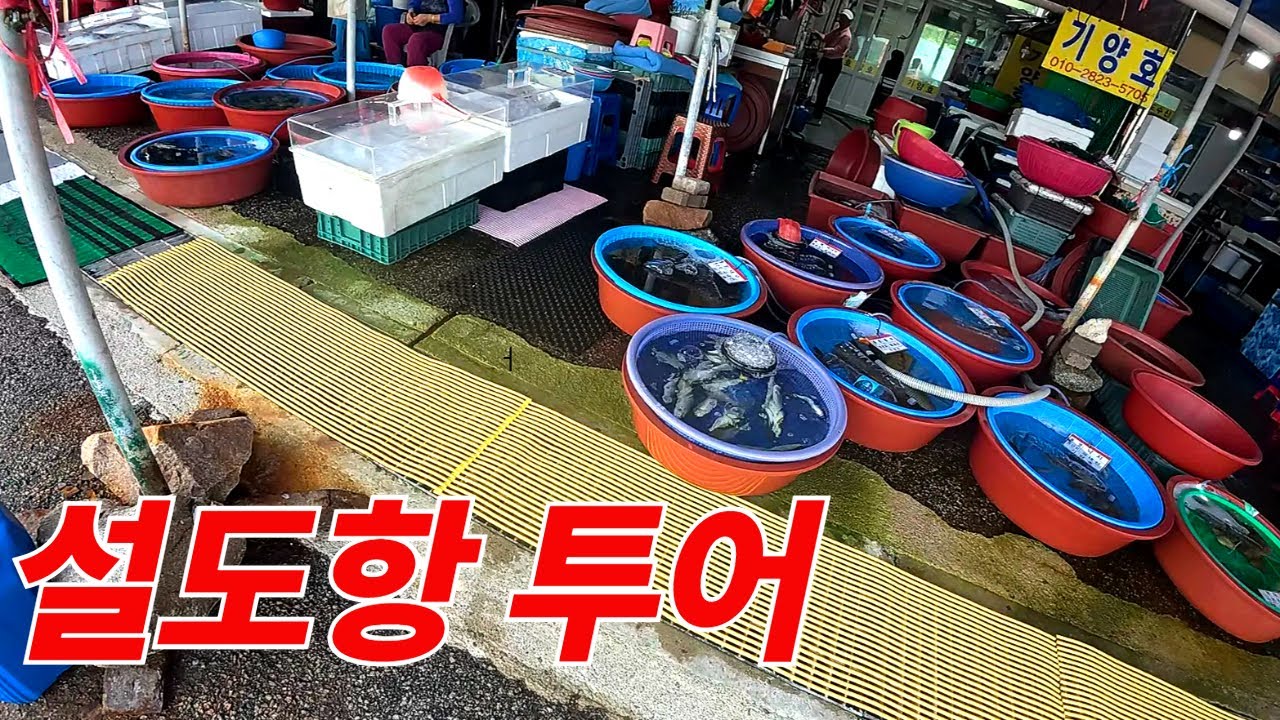 영남 영광 설도항이라고 들어보셨나요? 설도젓갈타운