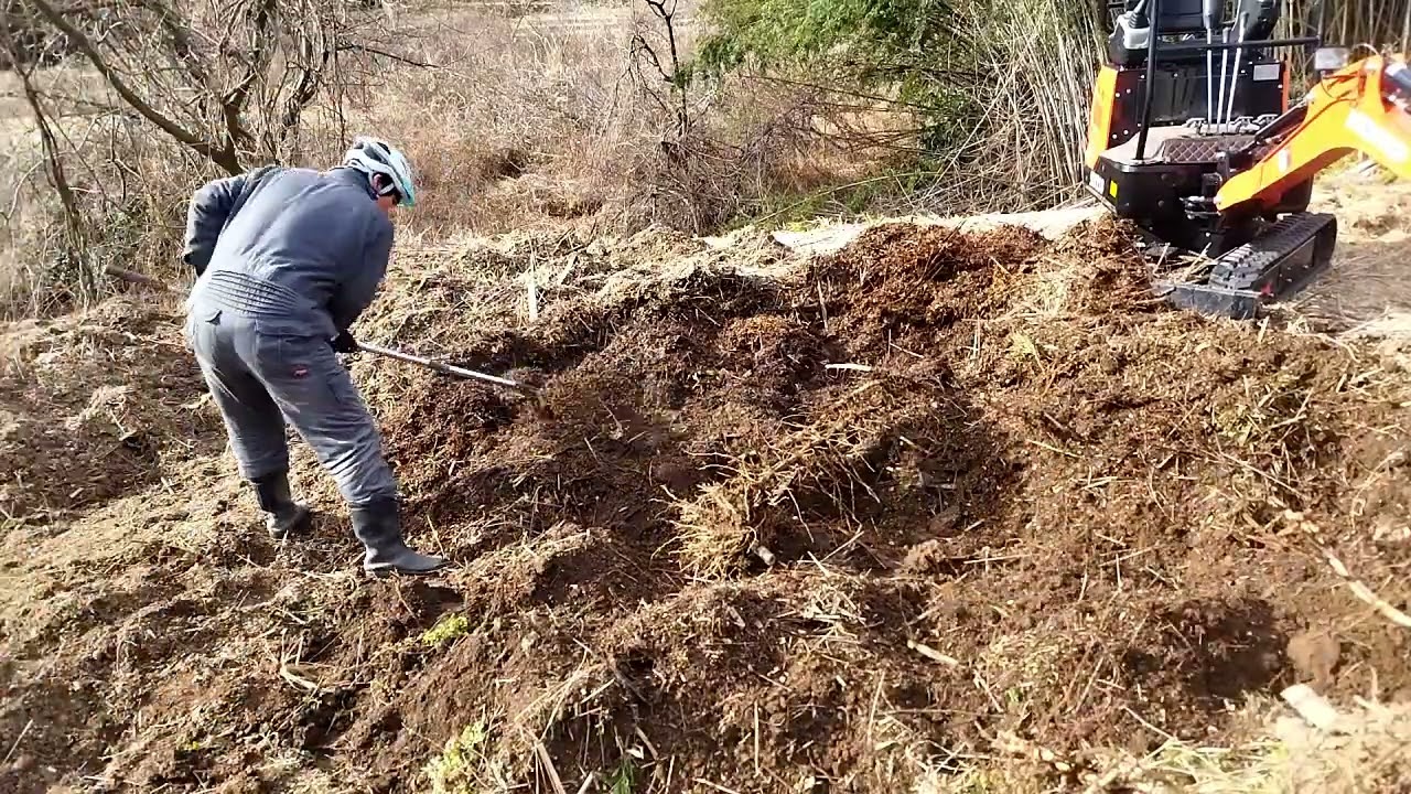 新車150万の中華ショベルカーで竹根を取るぞ！　地下茎も株もざっくざく　農地北部にて