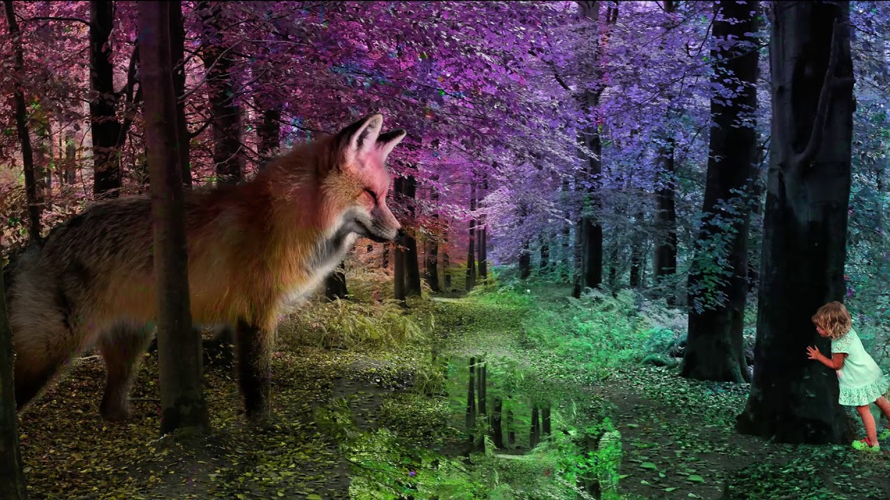 🌠 Lapsille - Noitajuhla
