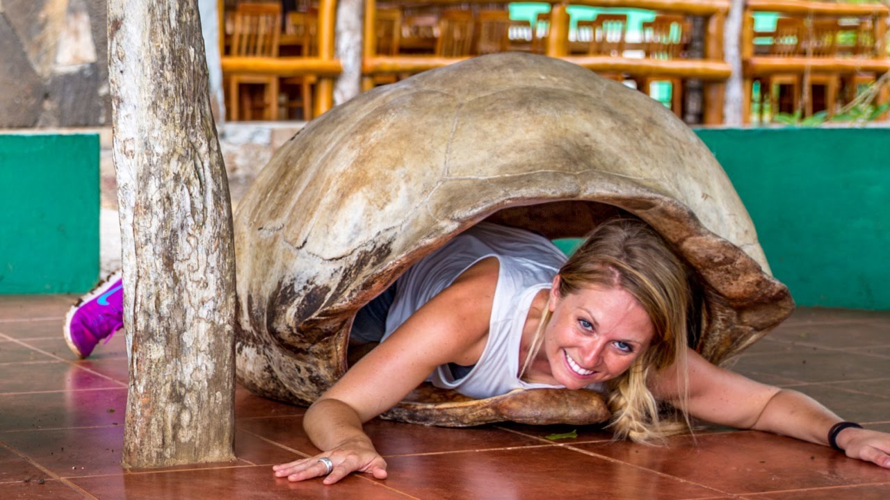 EXPLORING THE CAPITAL OF THE GALAPAGOS - Chase the Story 39