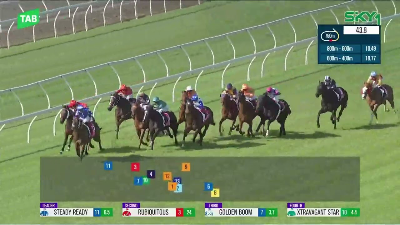Lightning Handicap 2024 - STEADY READY (Qlty LR) Listed Eagle Farm 8 June