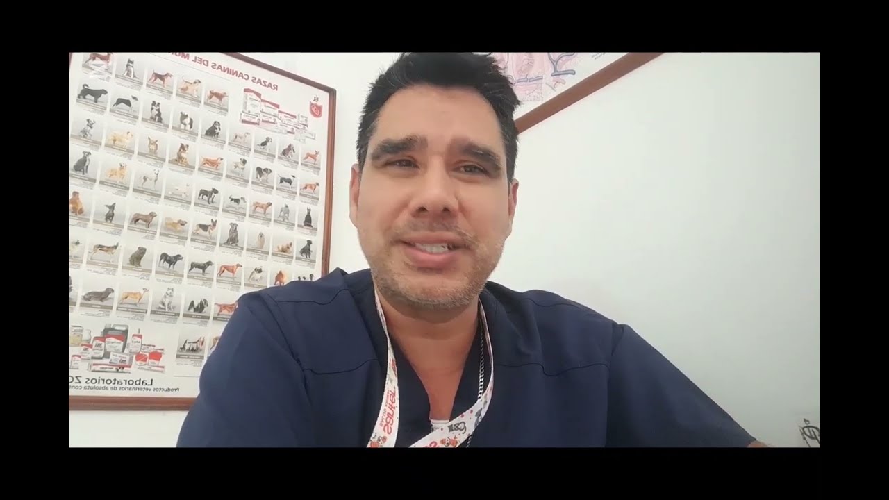 ¿ Como afrontar el duelo?