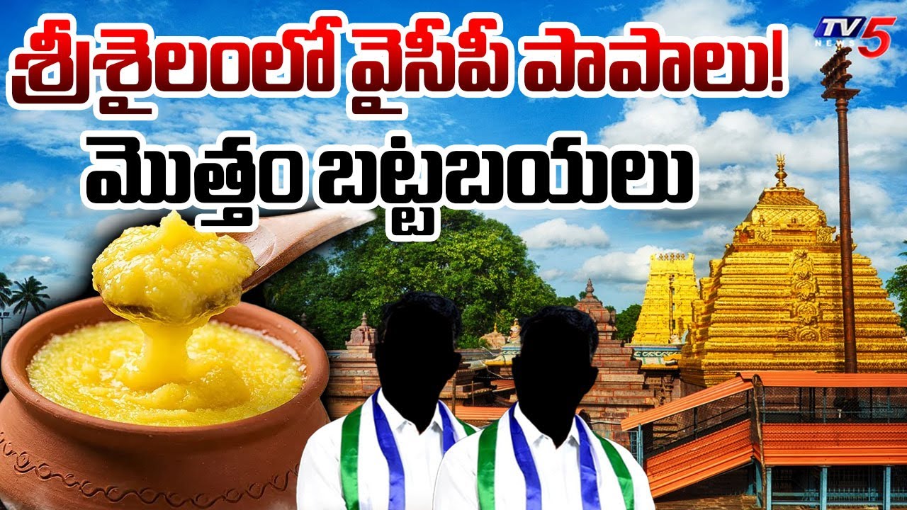 శ్రీశైలంలో వైసీపీ దుర్మార్గులు | Fake Ghee Supply to Srisailam Mallanna Temple During YCP Govt | TV5