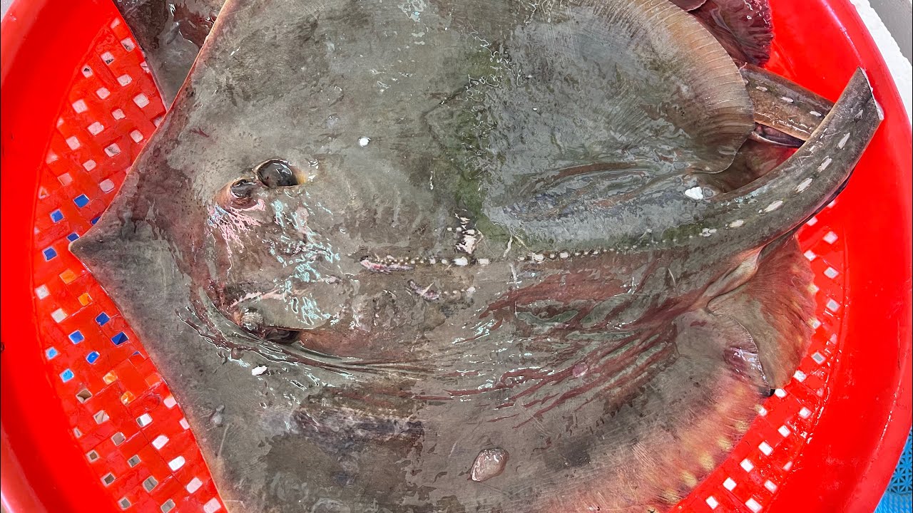 溪湖小辣椒 彰化縣溪湖鎮忠溪路478號 海鮮叫賣 1/15