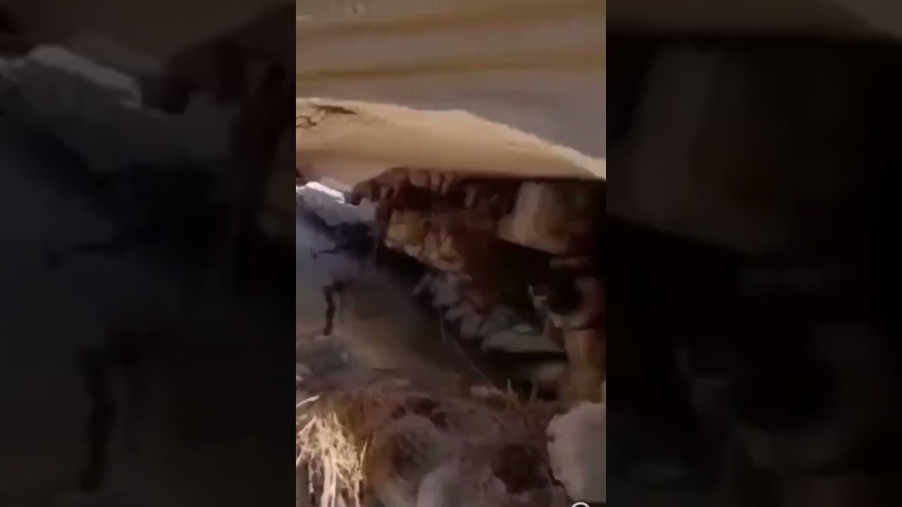 Sel felaketinin vurduğu Libya&rsquo;nın Derne Kentinde arama kurtarma &ccedil;alışmaları devam ediyor.