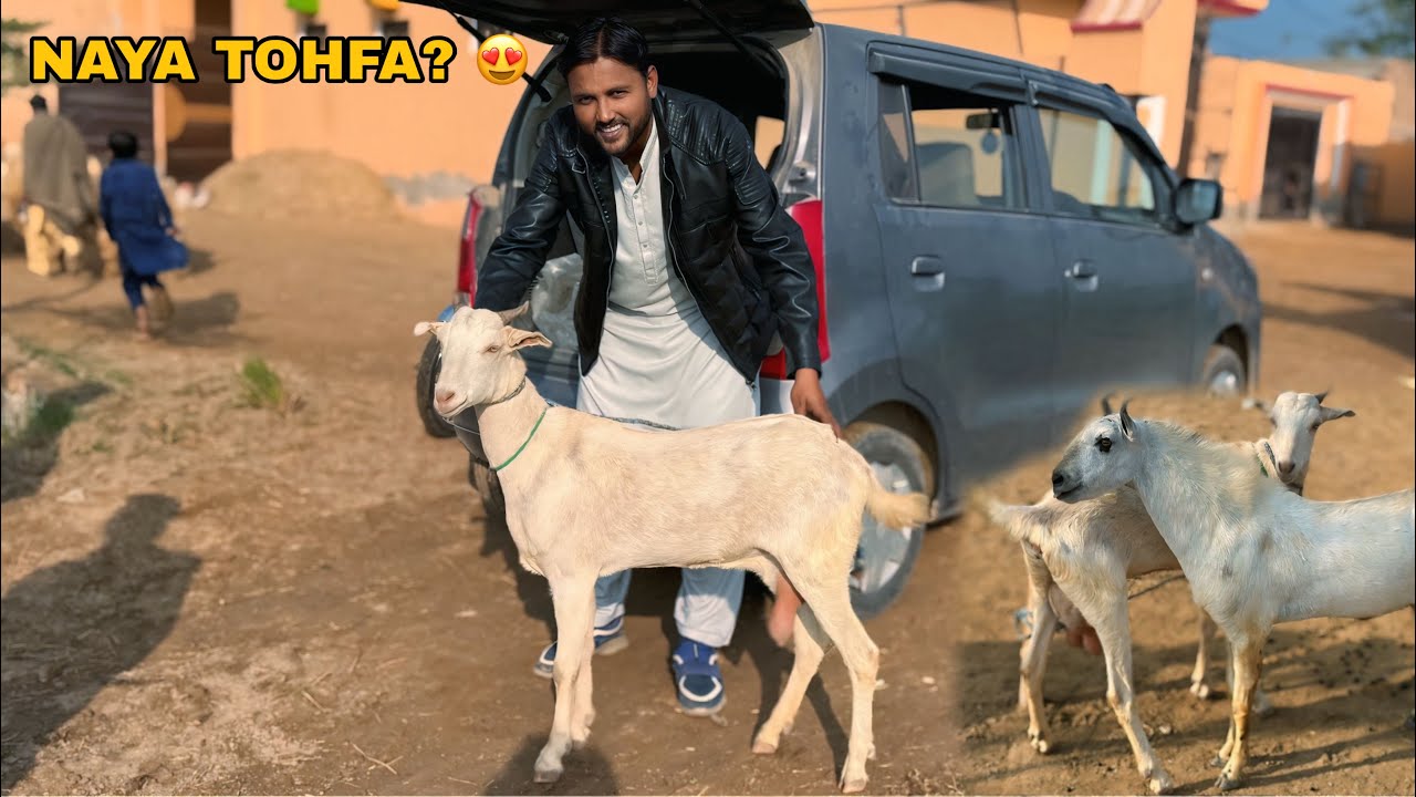 AAJ TO KAMAAL HO GAYA! 😍 Dere Ki Raunak Barh Gayi | New Guest?
