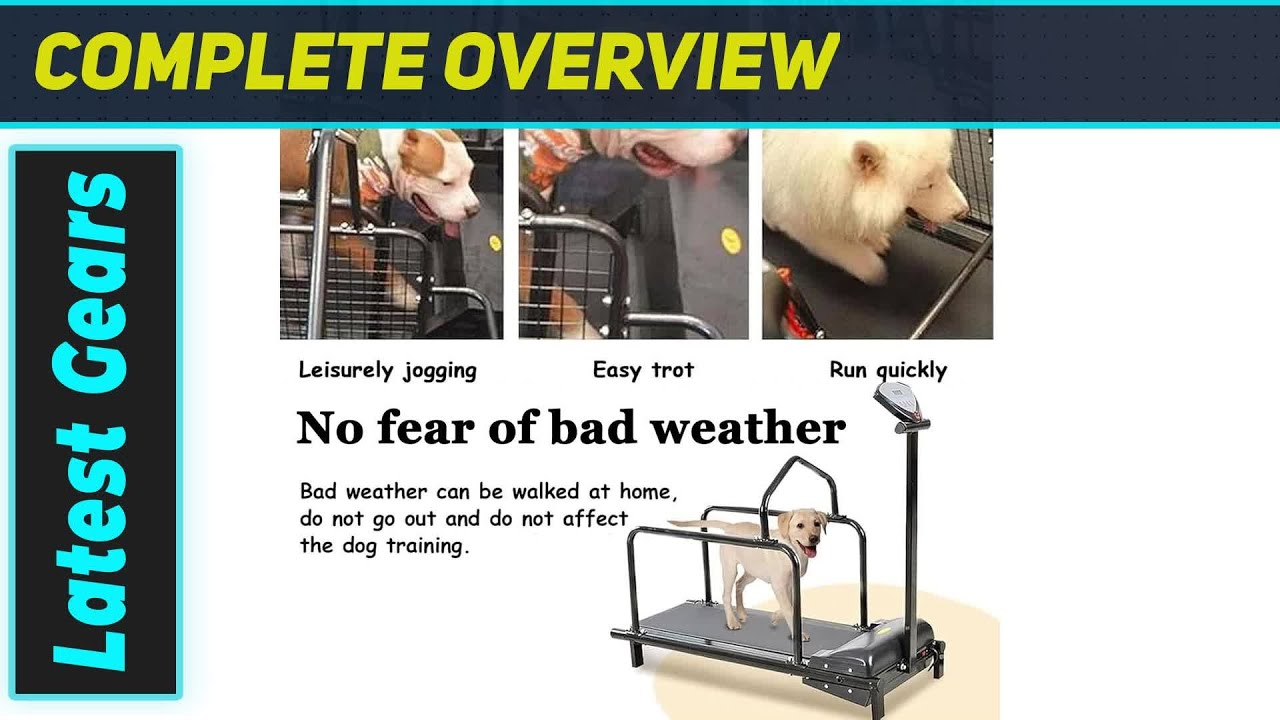 Беговая дорожка Dogpacer: идеальное решение для фитнеса вашего четвероногого друга!