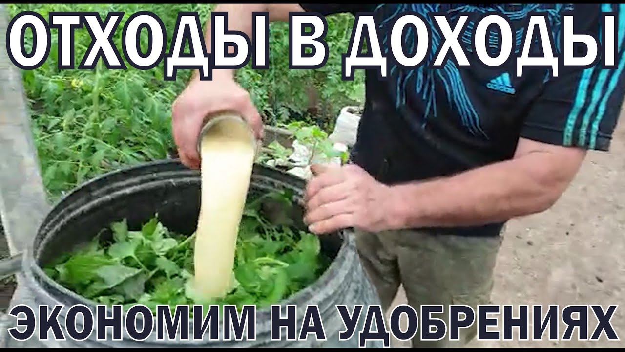 Отходы в доходы из пасынков и Starteco