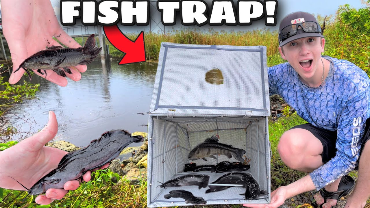 FISH TRAP CATCHES HUNDREDS Of EXOTIC SPECIES In EVERGLADES!!