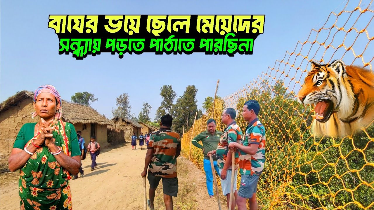 পাথর প্রতিমা এল প্লটে বাঘের তাণ্ডব😱//tiger attack in sundarban//sundarban tiger