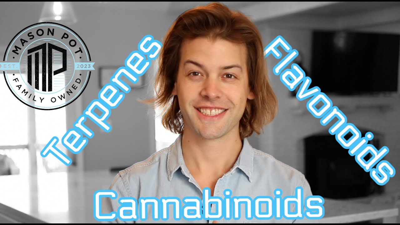 What Is The Cannabis Entourage Effect?