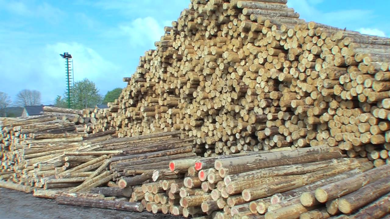 Huet bois, producteur et fabricant de bois ronds, piquet et cl&ocirc;ture, poteaux EDF (NFC 67100)