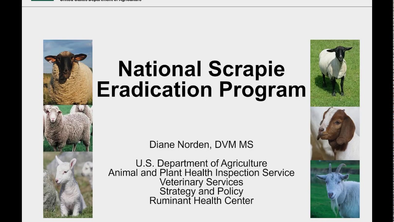 17 NAHMS Goat 2019 Scrapie Genotyping and Eradication Program