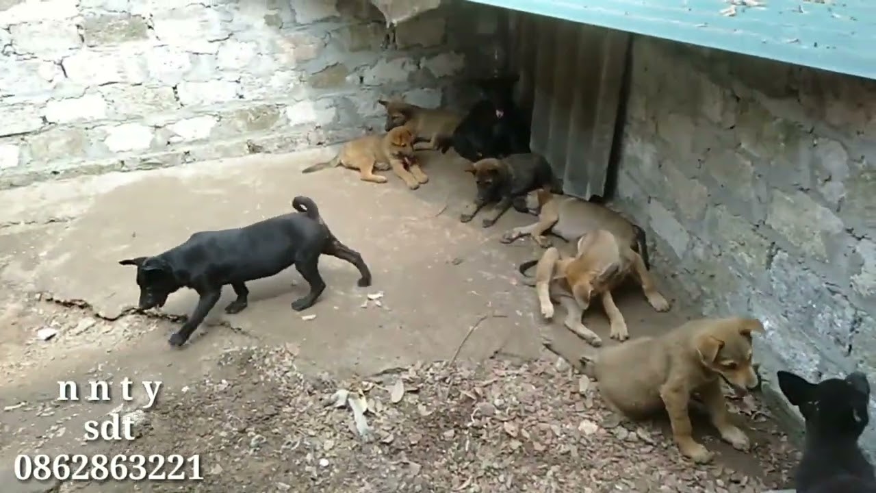 Nguyên nhân dẫn đến thất bại - cách khắc phục cho ae | n n t y