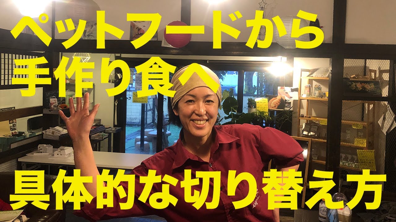 ペットフードから手作り食へ！具体的な切り替え方