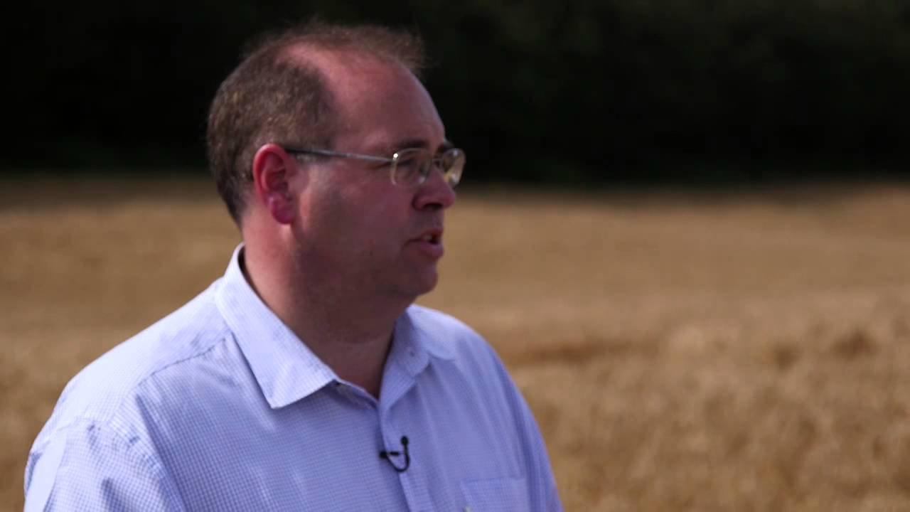 Tim Lamyman talks about high yielding cereal crops