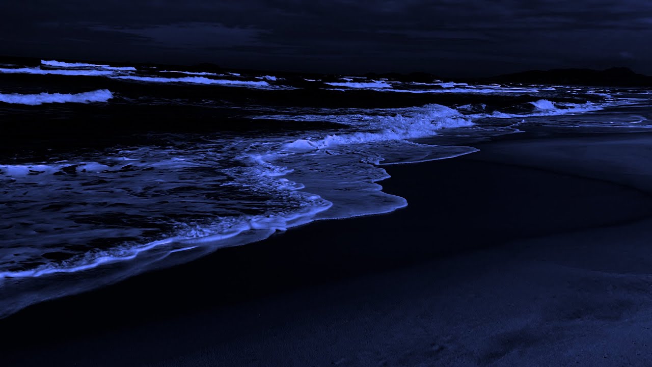 Ocean Waves 🌊 Calm Sea Sounds to Help You Fall Asleep