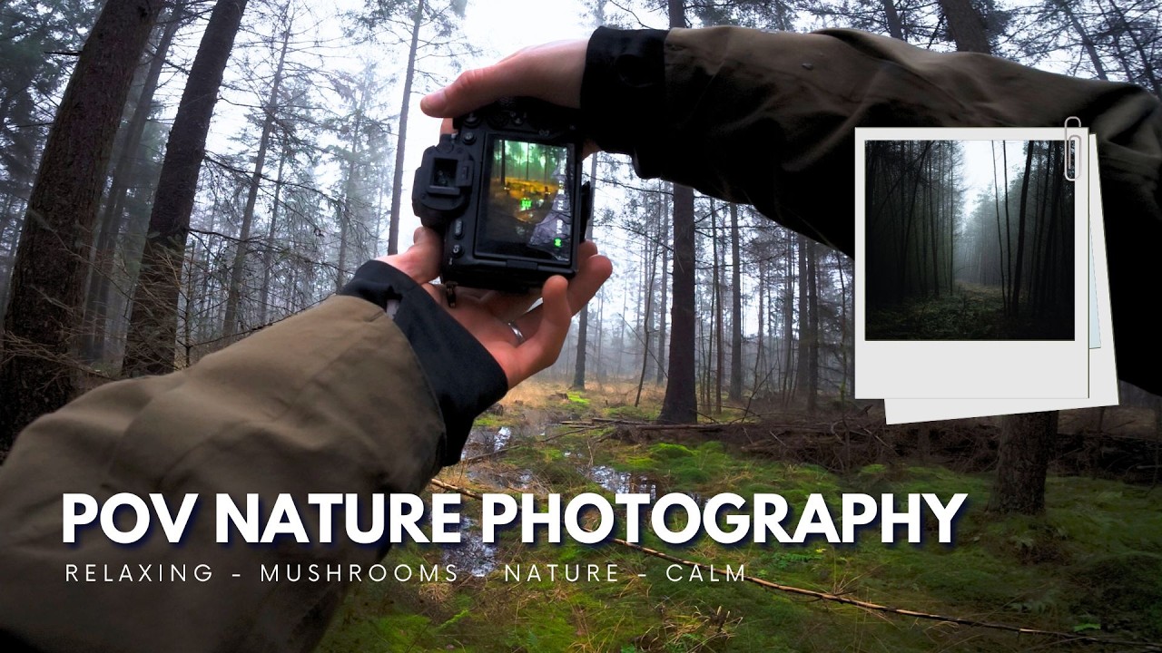 POV Nature Photography | in my old hometown | #sonya7iv