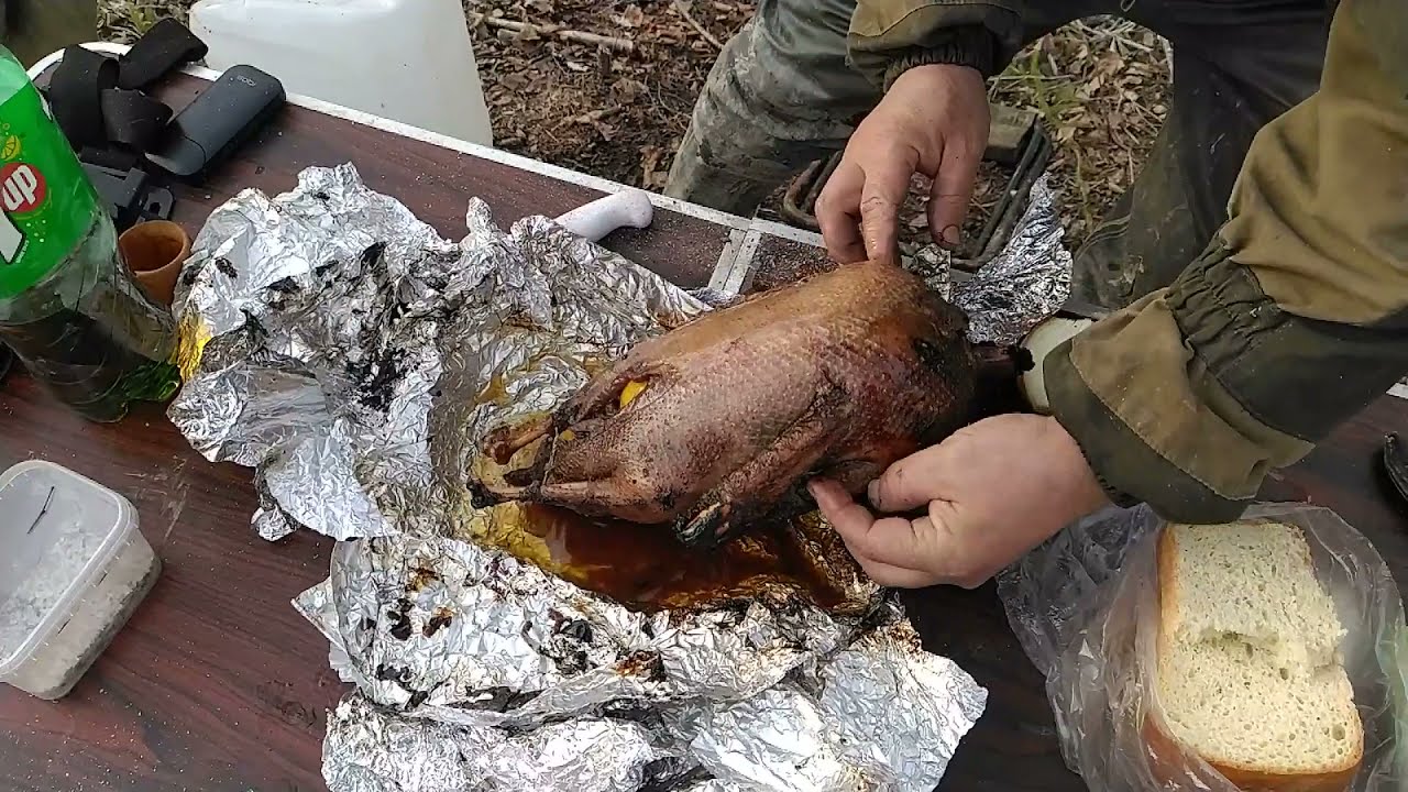 Дикий ГУСЬ   В   УГЛЯХ