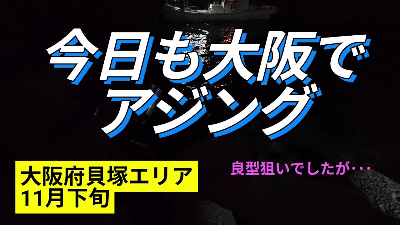 【貝塚人工島】11月下旬 アジング良型狙いでしたが･･･#大阪#アジング#貝塚人工島#大阪湾