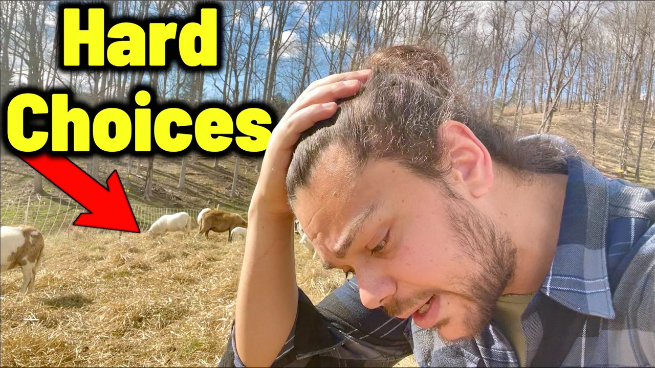 The Worst Part of Homesteading (No One Shows This)