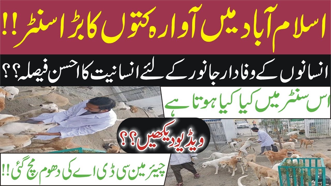 Islamabad ka Dog Center-Chairman CDA ka behtreen qadam- Khabrain Tv