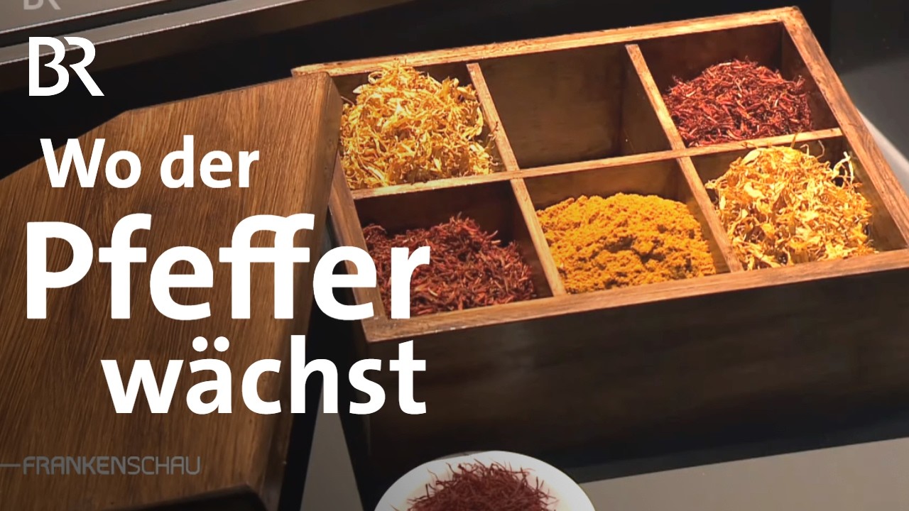Zum Kochen und f&uuml;r die Gesundheit: Gew&uuml;rze aus aller Welt und was sie k&ouml;nnen | Frankenschau | BR