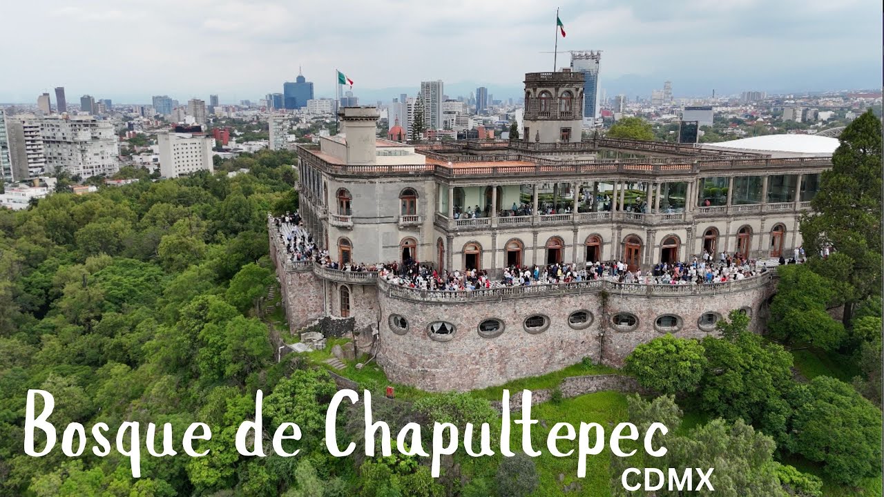 Bosque de Chapultepec 🫶🏽🇲🇽  4K