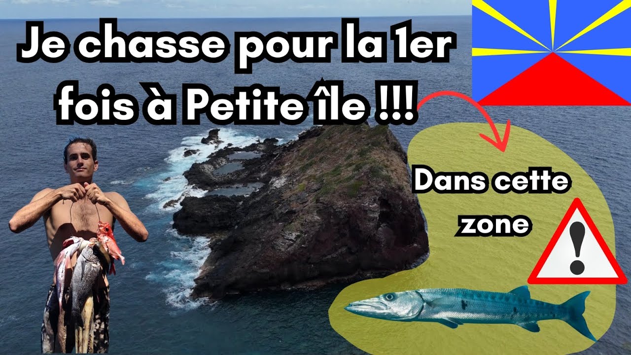 Episode 3 🇷🇪 : Chasse sous-marine La réunion. Petite île mais gros  zourite !!