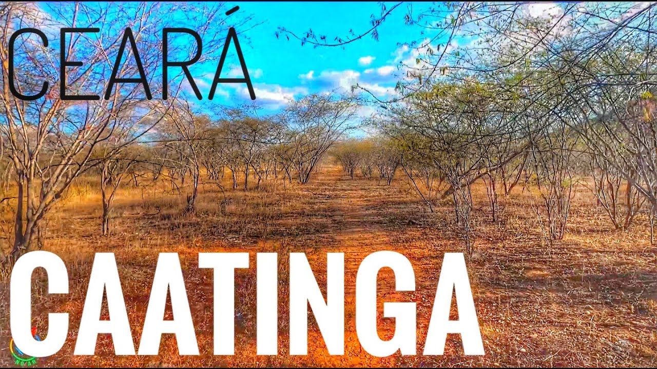 CONHECENDO A CAATINGA NO SERTÃO DO CEARÁ. VISITA A CANINDÉ, SANTA QUITÉRIA, VARJOTA E AÇUDE ARARAS.