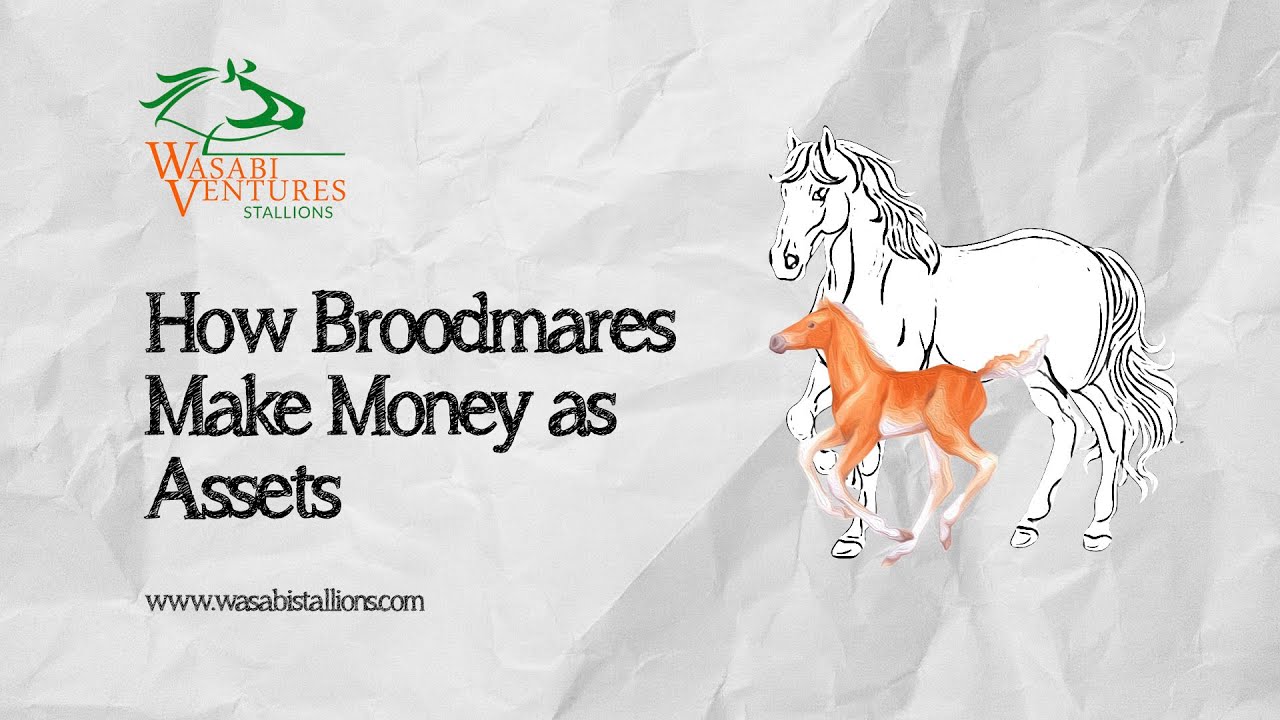 Maximizing Profit with Broodmares: A Guide to Breeding and Asset Strategies