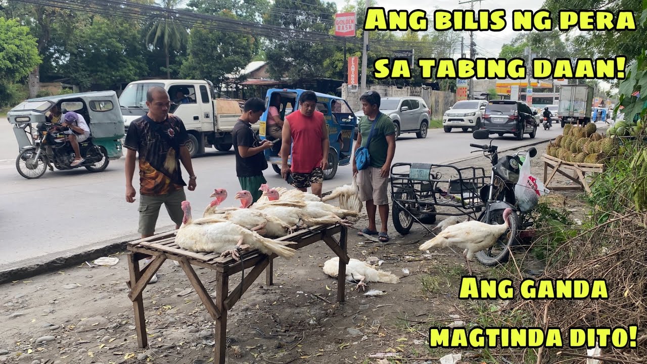 MABILIS TALAGA ANG PERA SA DAAN | PAGDI-DISPLAY NG MGA PABO SA TABING DAAN |  GENSAN CITY
