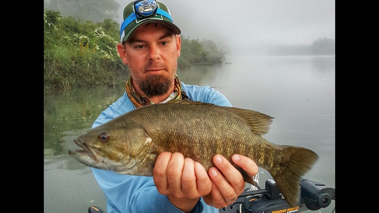 Smallmouth Bass | Streamer Flies Wreck in Rivers