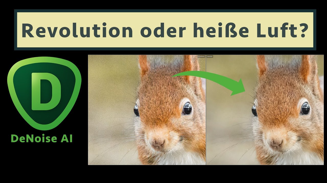 Topaz Denoise AI im Test: ISO-Rauschen entfernen und GLEICHZEITIG nachschärfen?