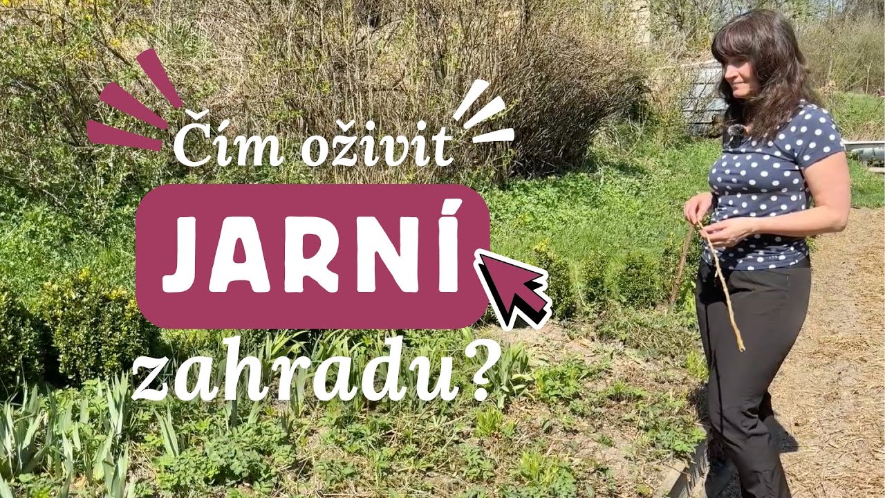 Čím oživit jarní zahradu? 2 cesty, jak dosázet cibuloviny a tipy na jarní trvalky