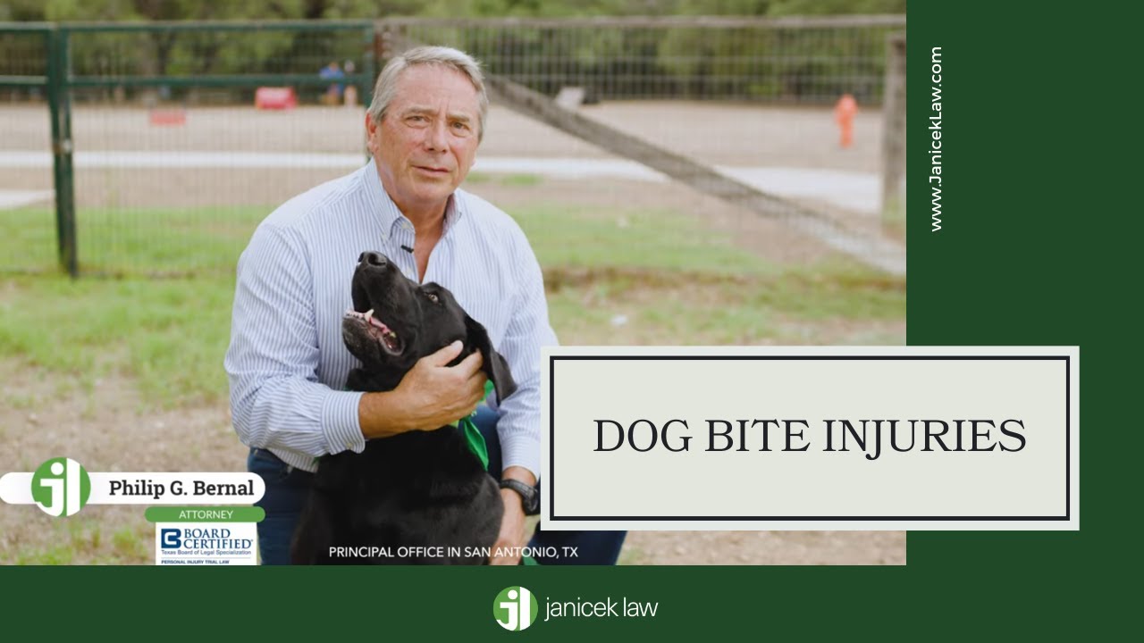 San Antonio Dog Bite Attorneys