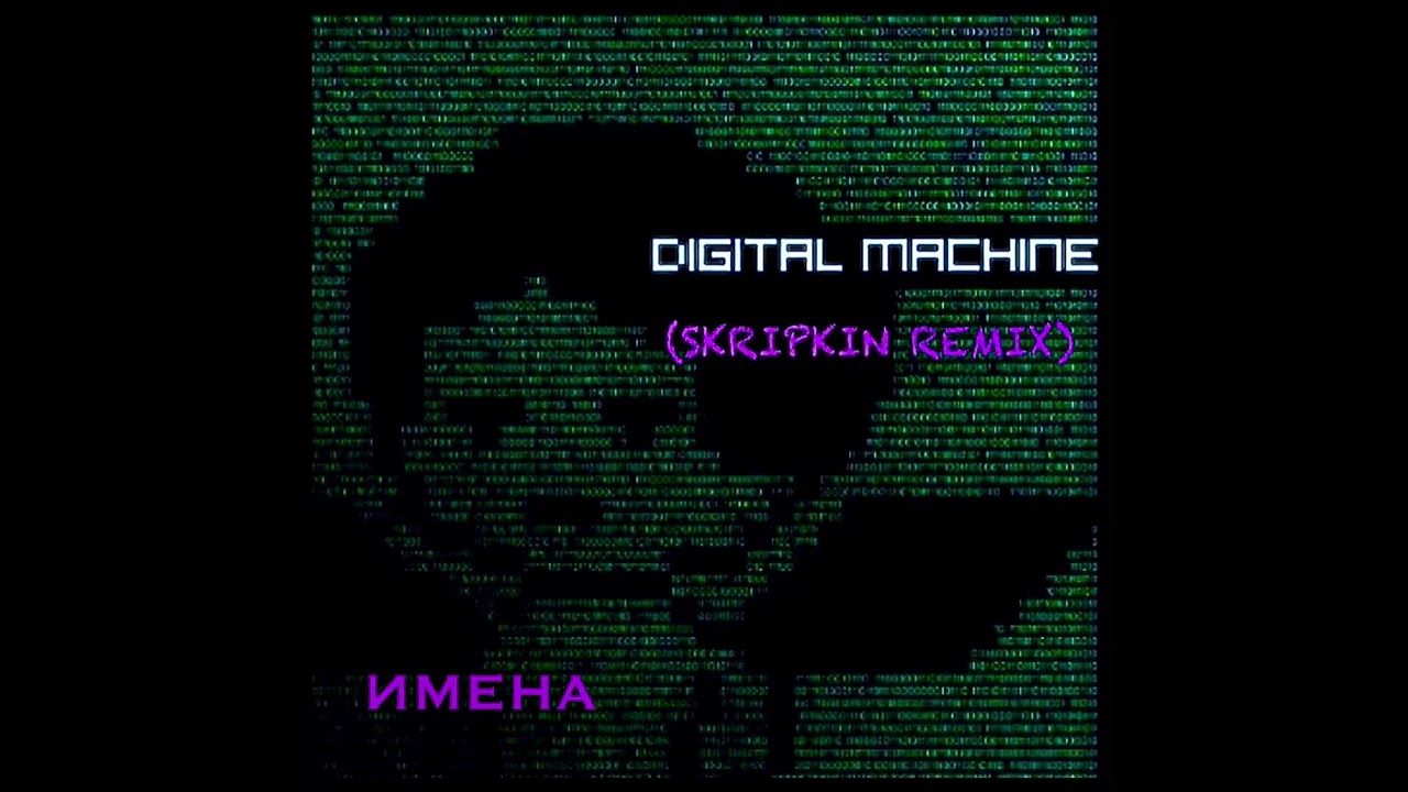 DIGITAL MACHINE - Имена (skripkin remix)