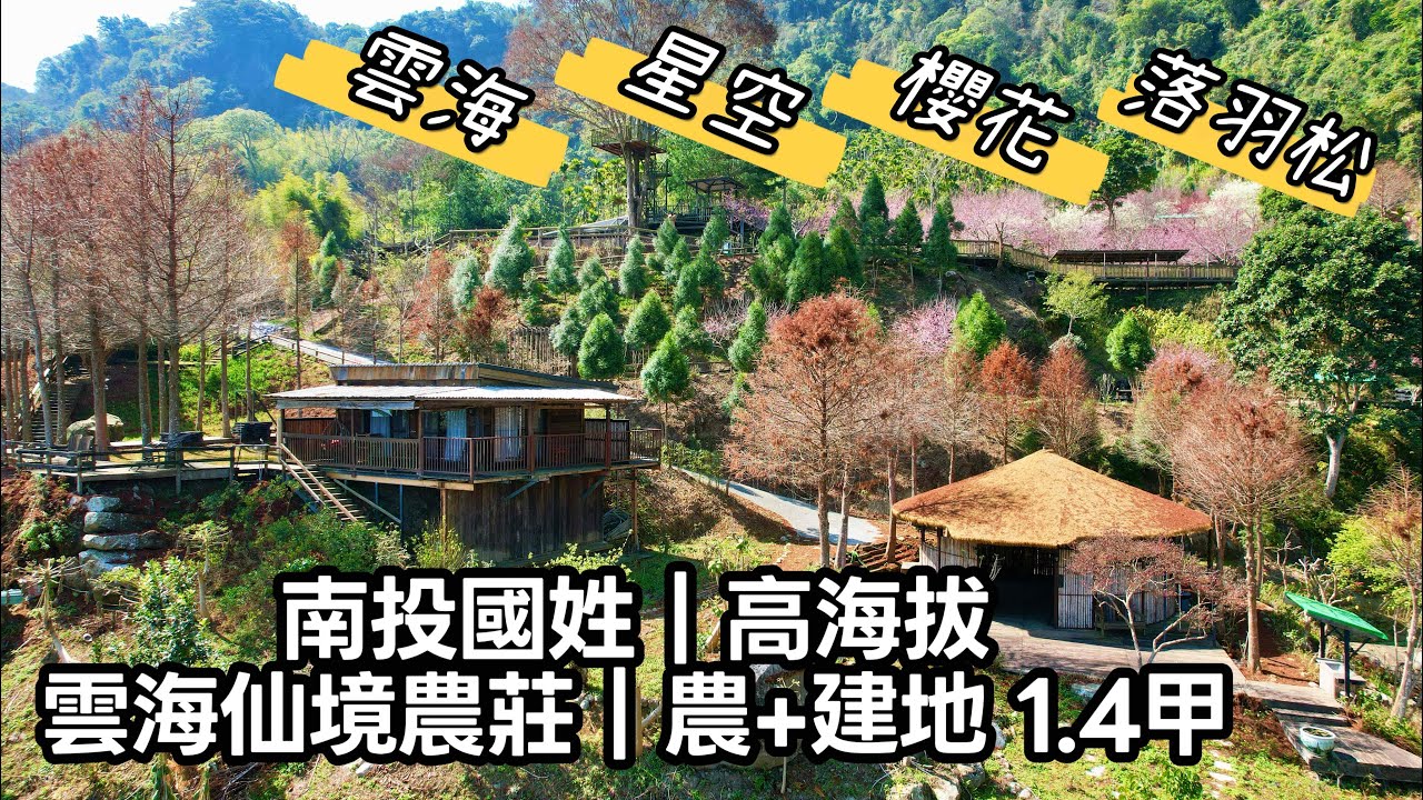 玉山房屋｜南投國姓 高海拔 雲海仙境農莊農+建地1.4甲｜售3980萬｜海拔1000公尺｜雲海｜星空｜櫻花｜落羽松｜絕美秘境｜空拍影片