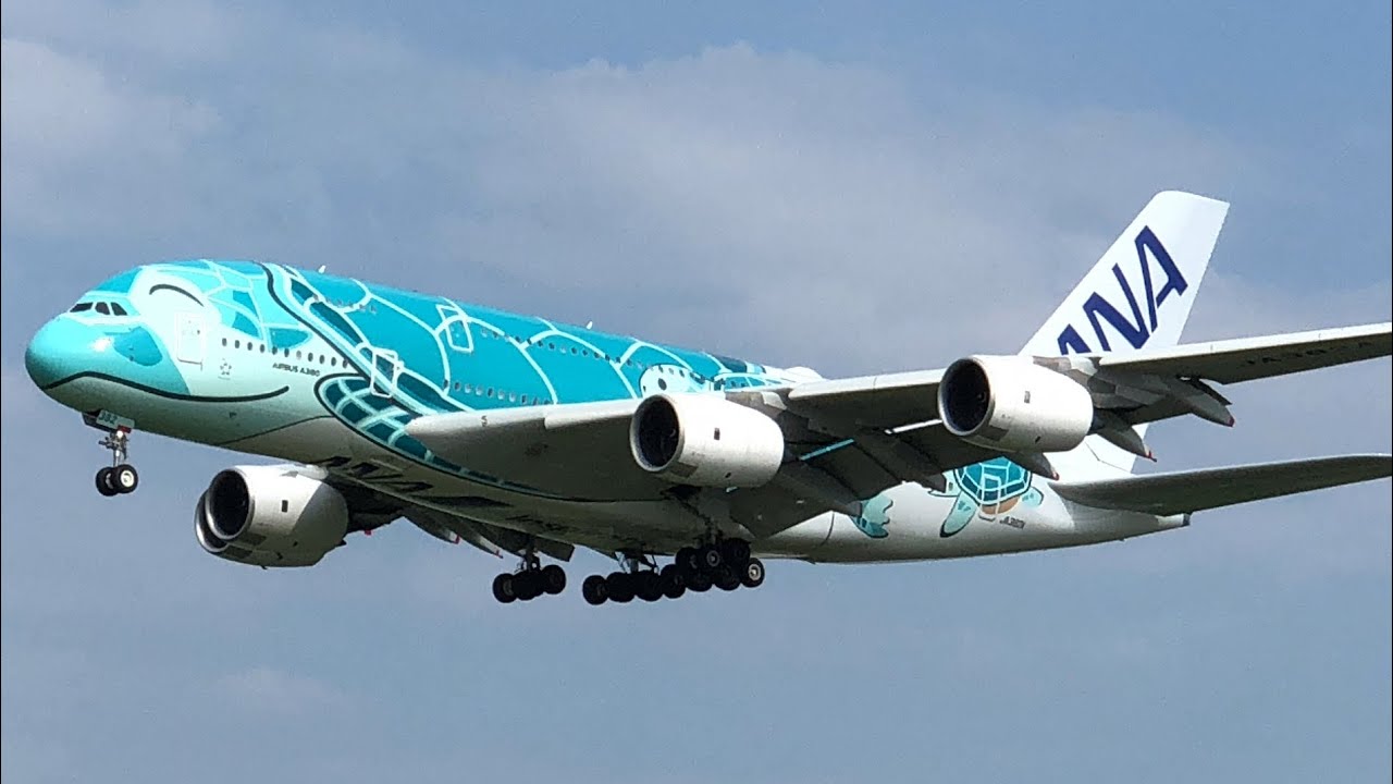 フライングホヌ２号機カイ🐢Airbus A380成田空港 着陸シーン:飛行機好き必見！【４Ｋ対応】#飛行機 #飛行機好き #成田空港#ANA #フライングホヌ#ひこうきの丘#naritaairport