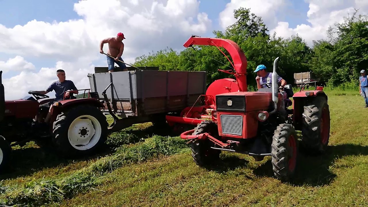 Senaža Kozelj 2019