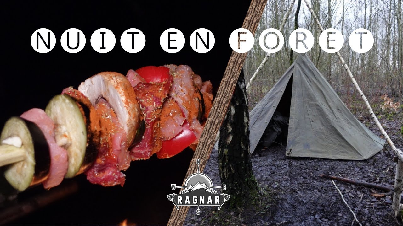 overnight forest bivouac | TIPI (roumanian plash palatka), fire place, Grilled Vegetables/Meat