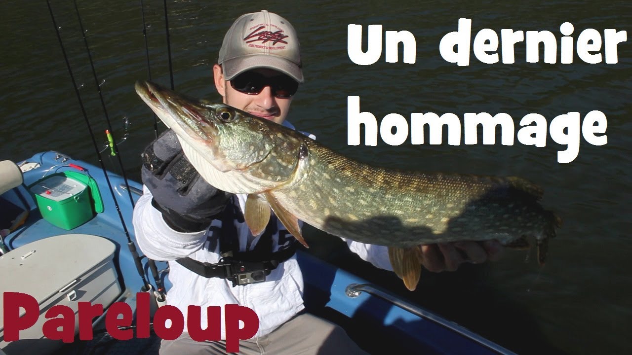 Un dernier hommage au cap 400... Carnassiers sur Pareloup