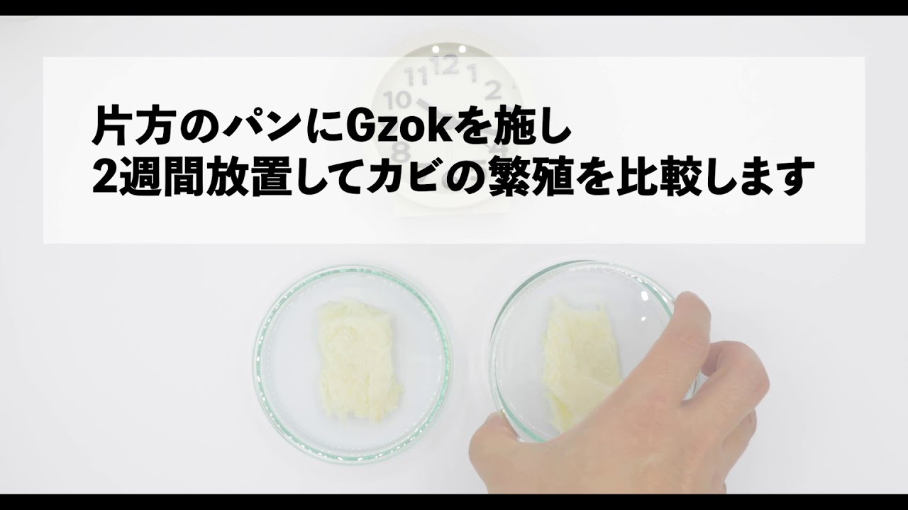 Gzok カビ