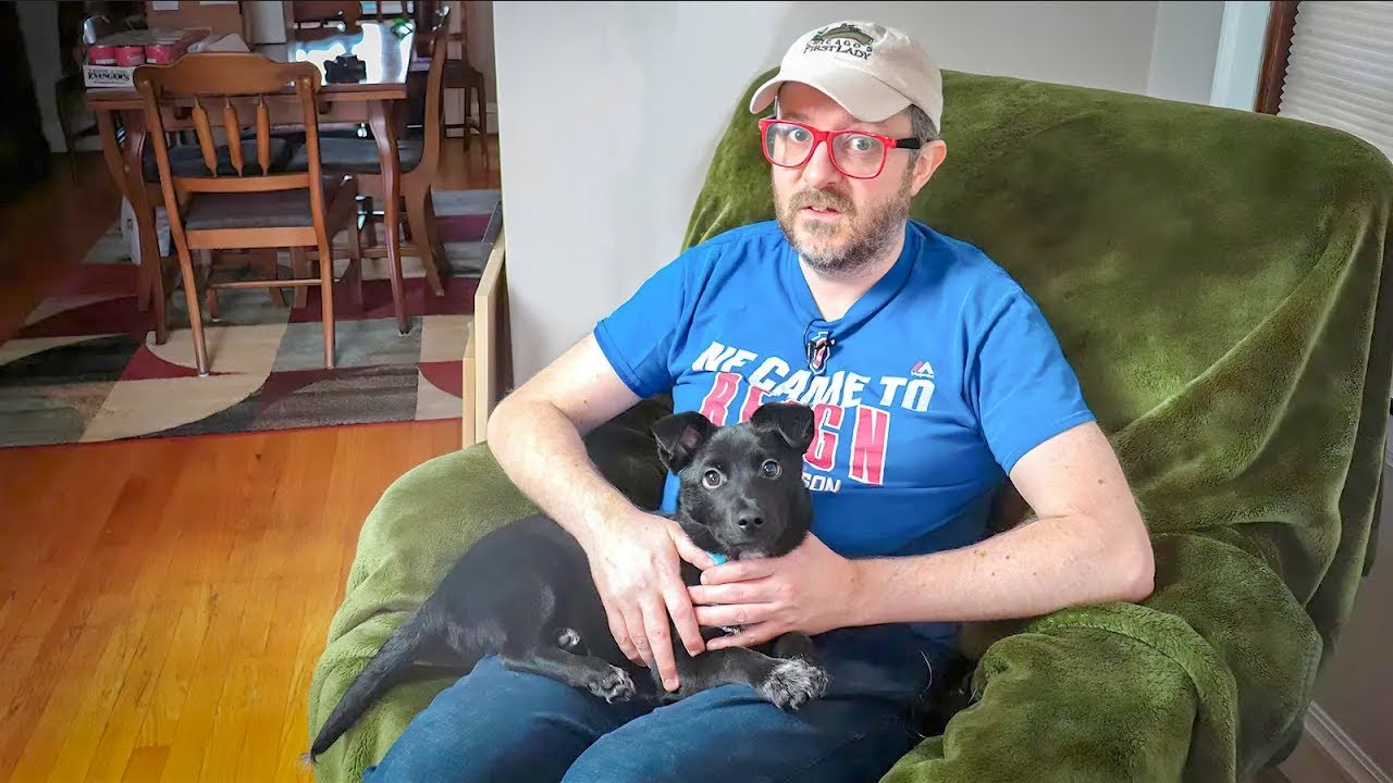 I Did It. I Adopted a Puppy.