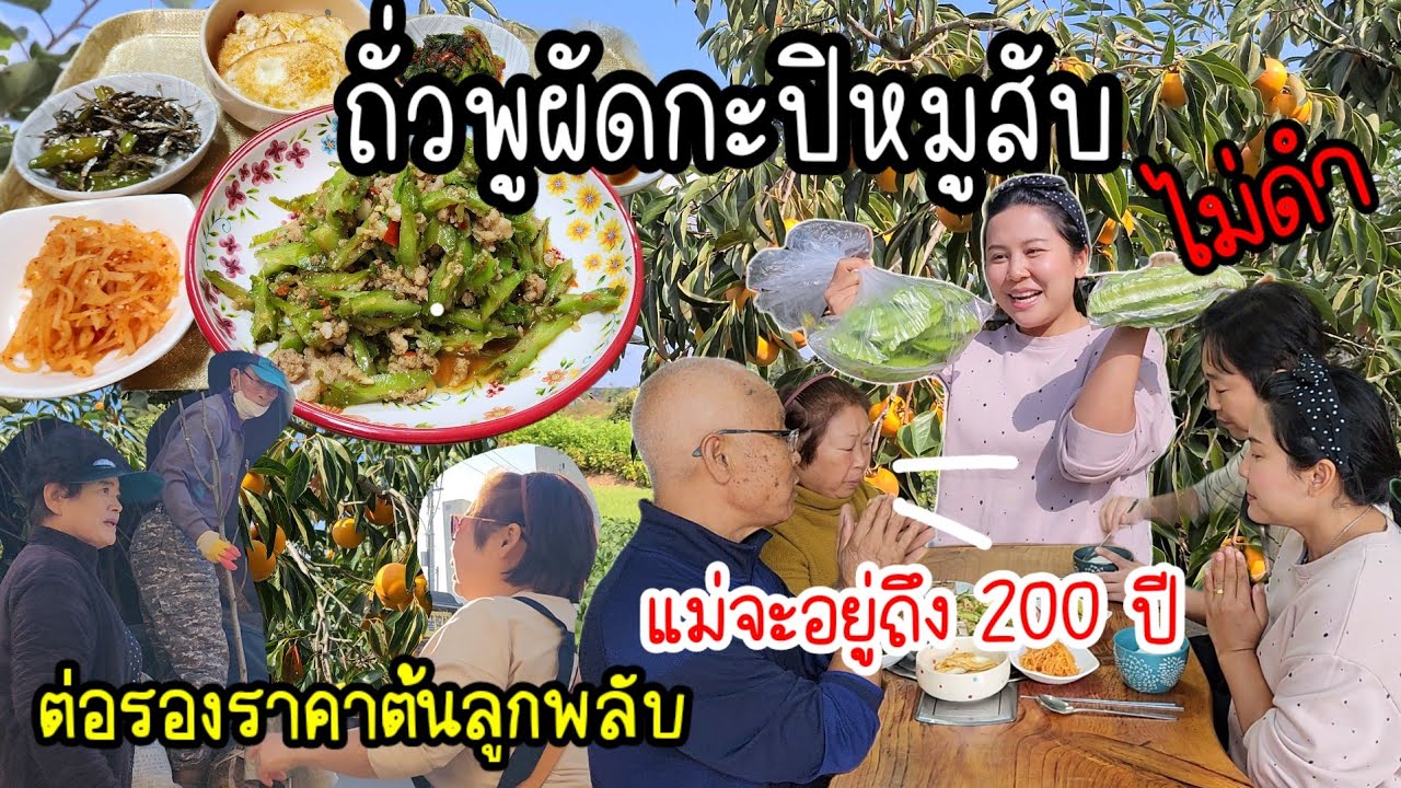 EP.817 ถั่วพูผัดกะปิหมูสับ วิธีทำให้ถั่วพูไม่ดำ อาหารอร่อยจนแม่ย่าบอกจะอยู่จนถึง 200 ปีให้ได้