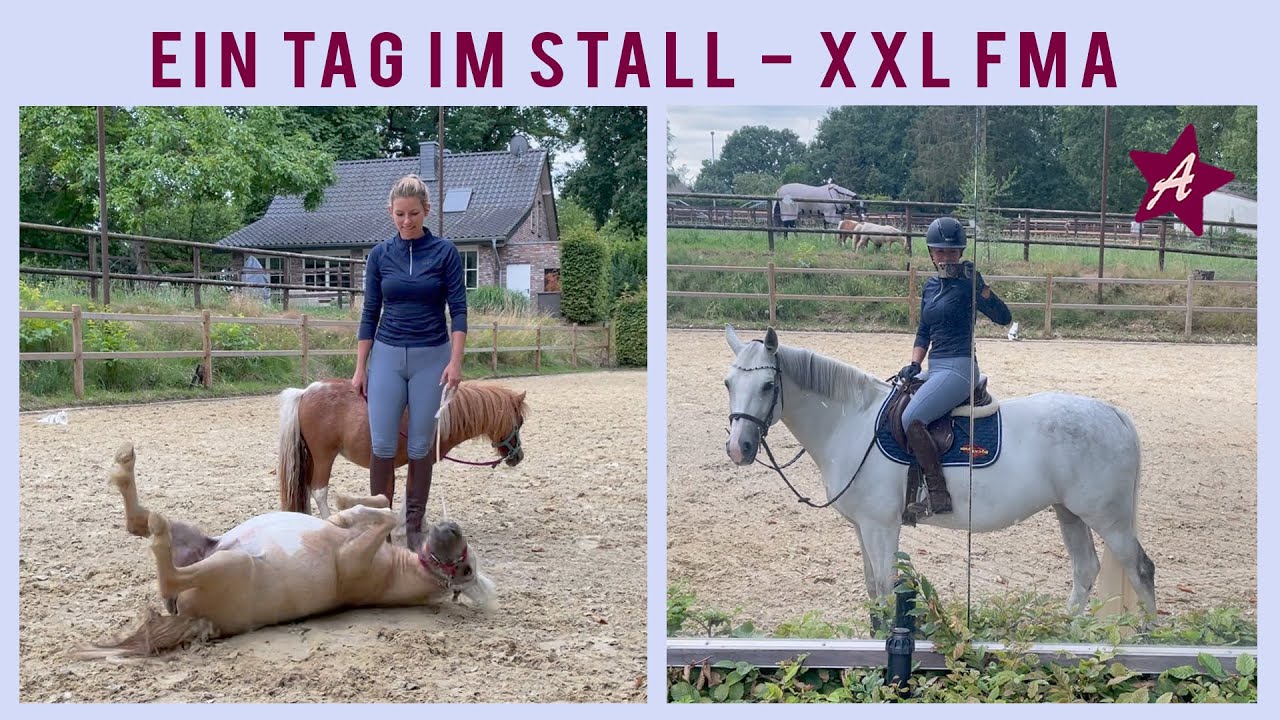 Ein Tag in PONYHAUSEN I Reiten, pflegen, kuscheln I XXL Follow me Around I Mein eigener Pferde Stall